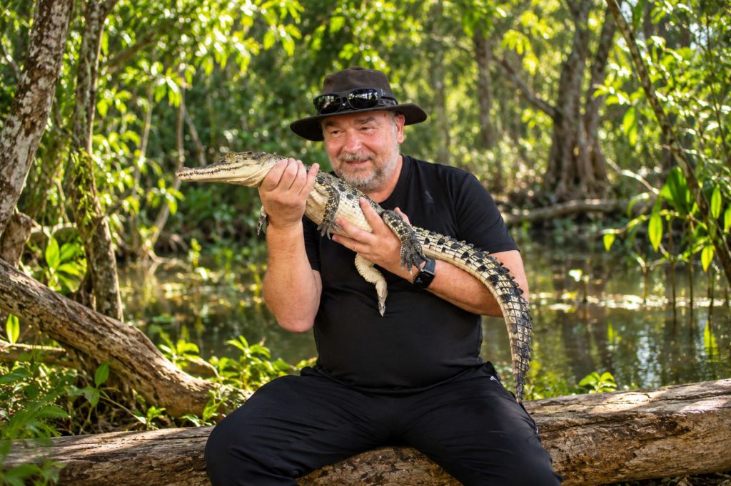 junges Leistenkrokodil