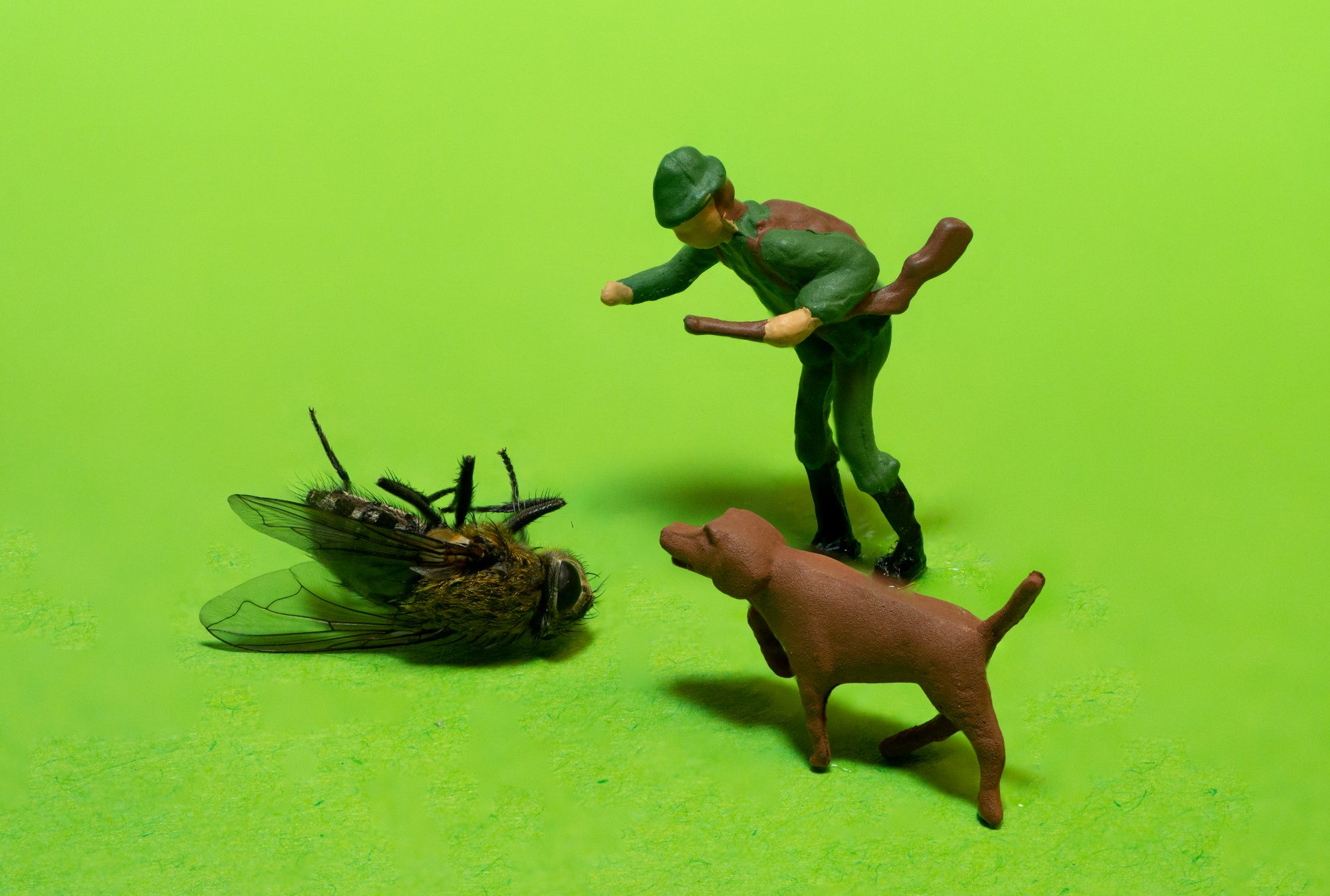 Großwildjagd