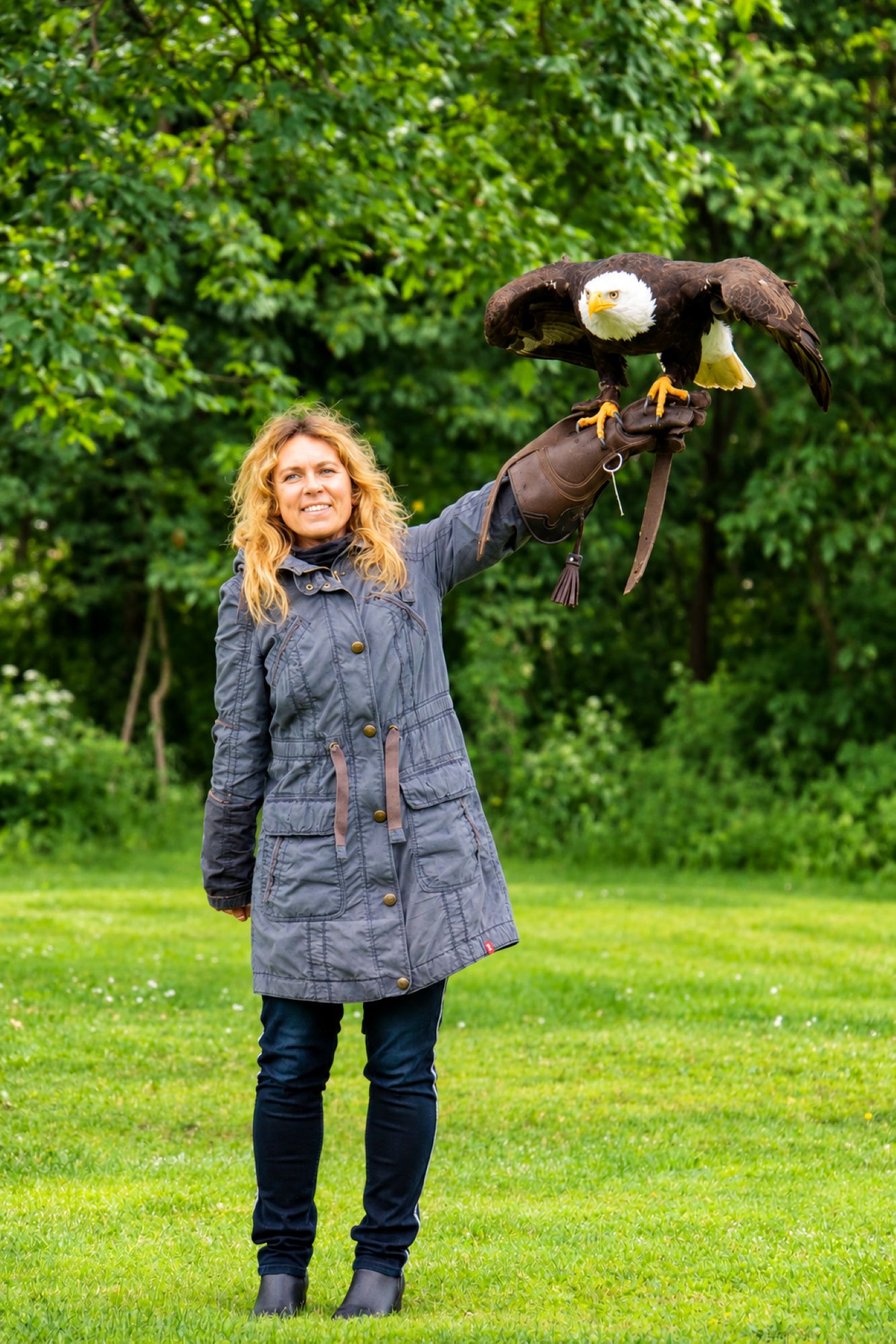 Weißkopfseeadler