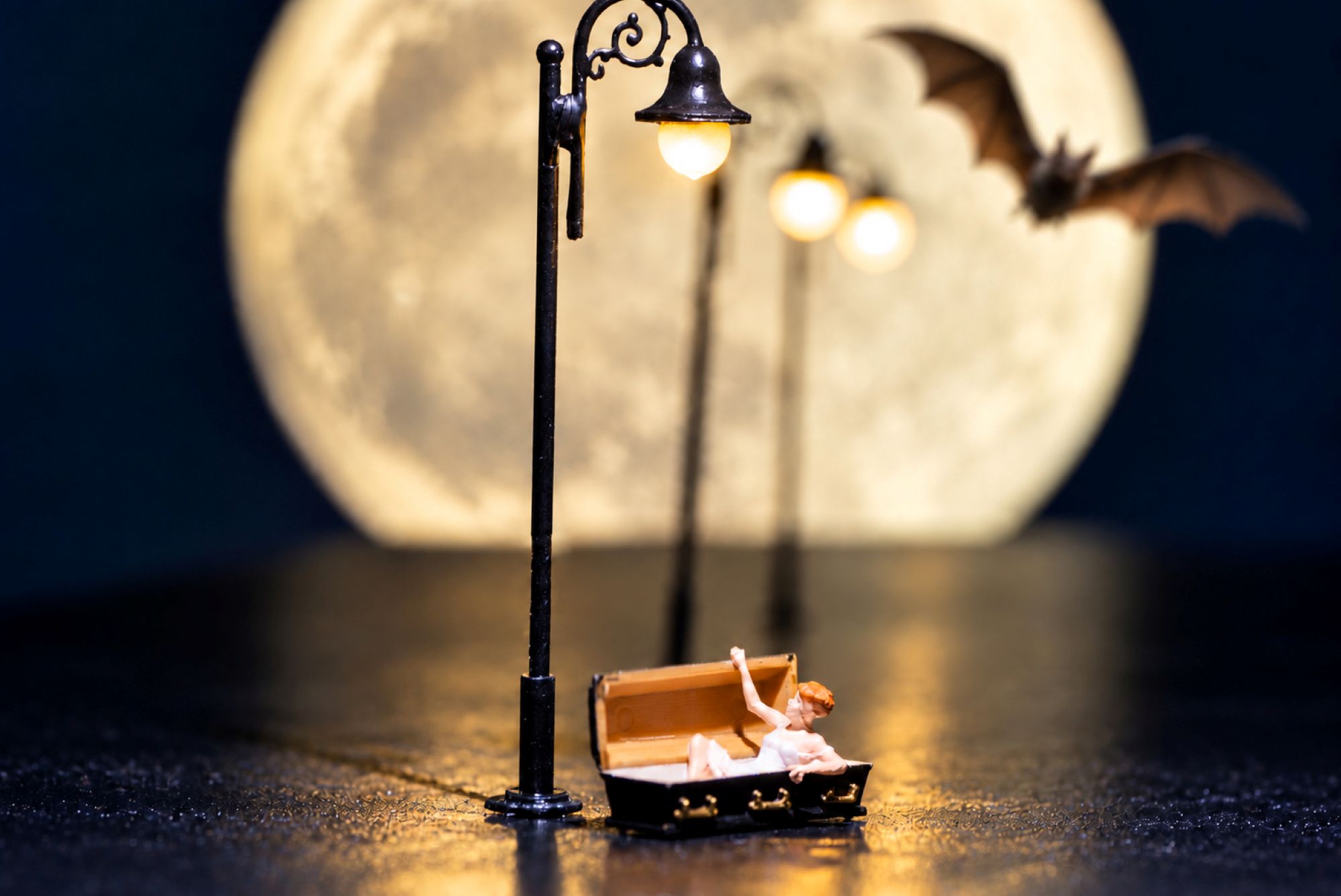 Im Licht des Mondes erwacht